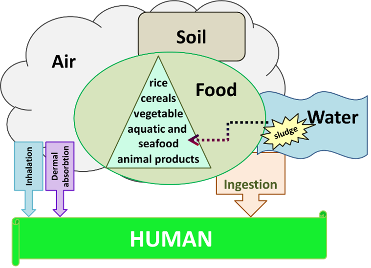 schema