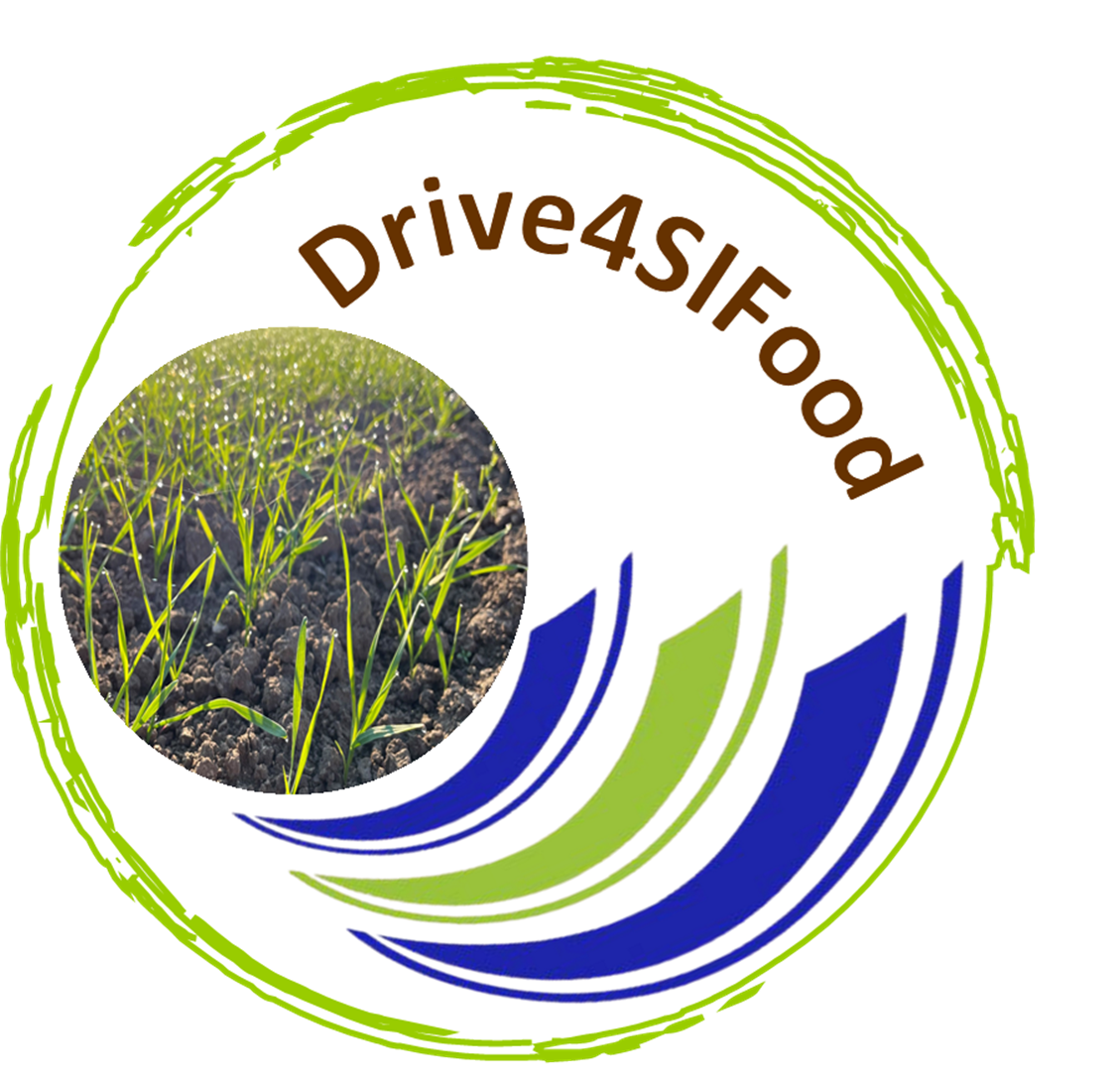logo DSV
