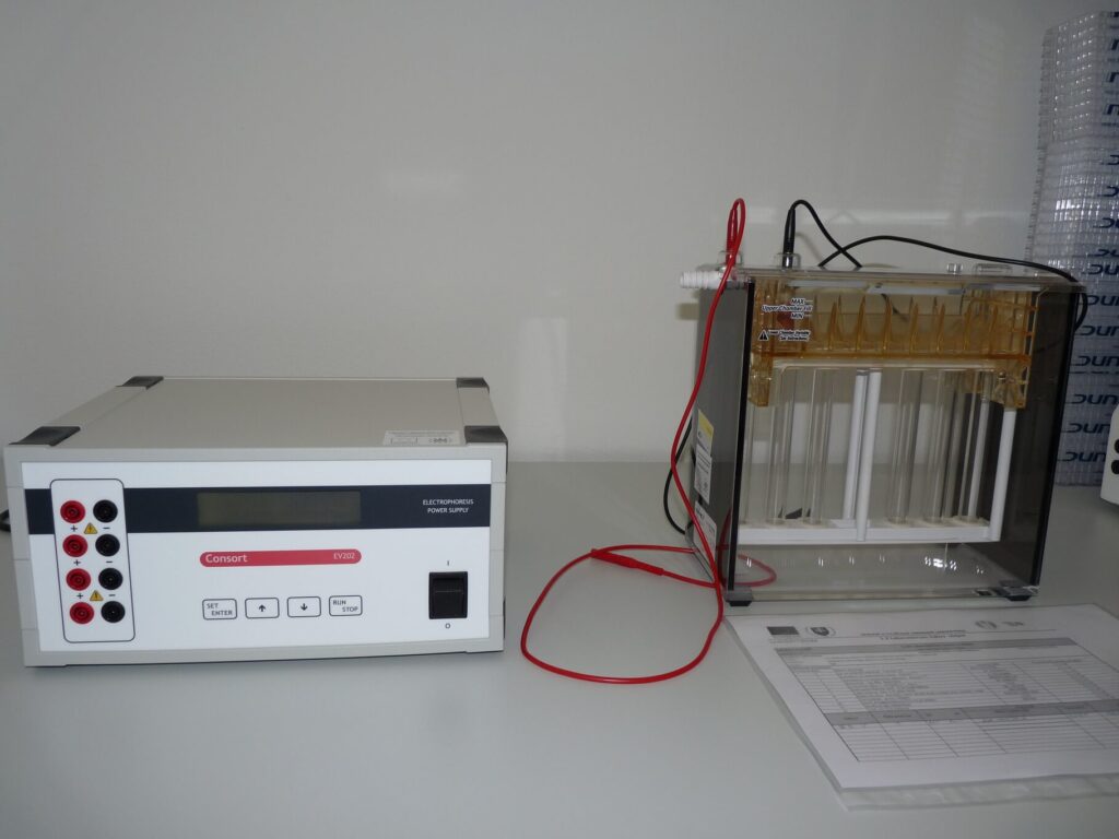 Elektroforeza
