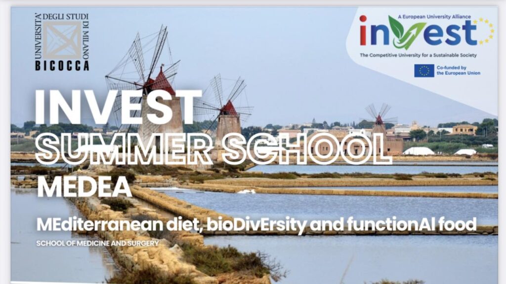 letna skola invest