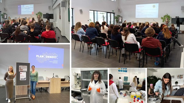 workshop galeria