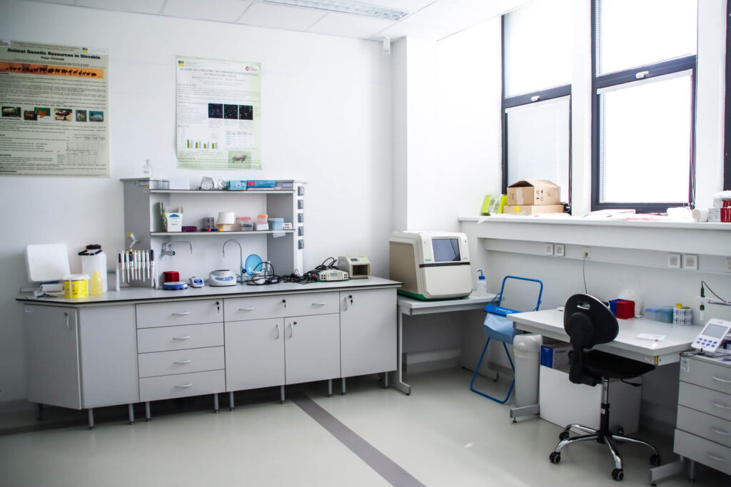 Kvantifikácia proteínov Western blotting