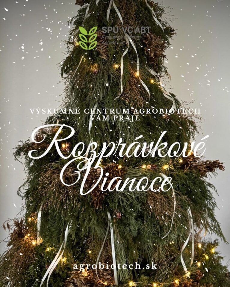Rozprávkové Vianoce 2