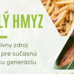 workshop jedlý hmyz úvodný obrázok